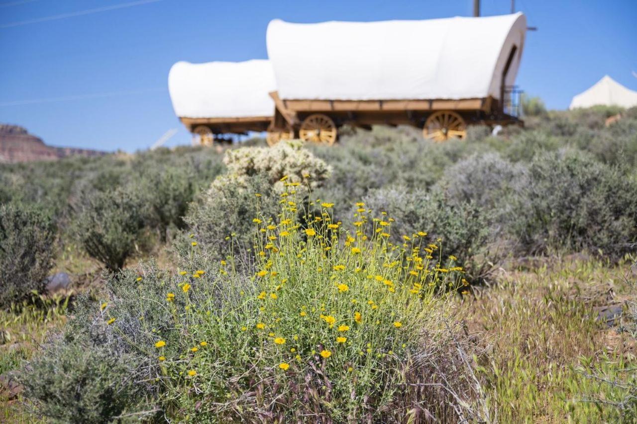 Zion Wildflower Hotell Virgin Eksteriør bilde